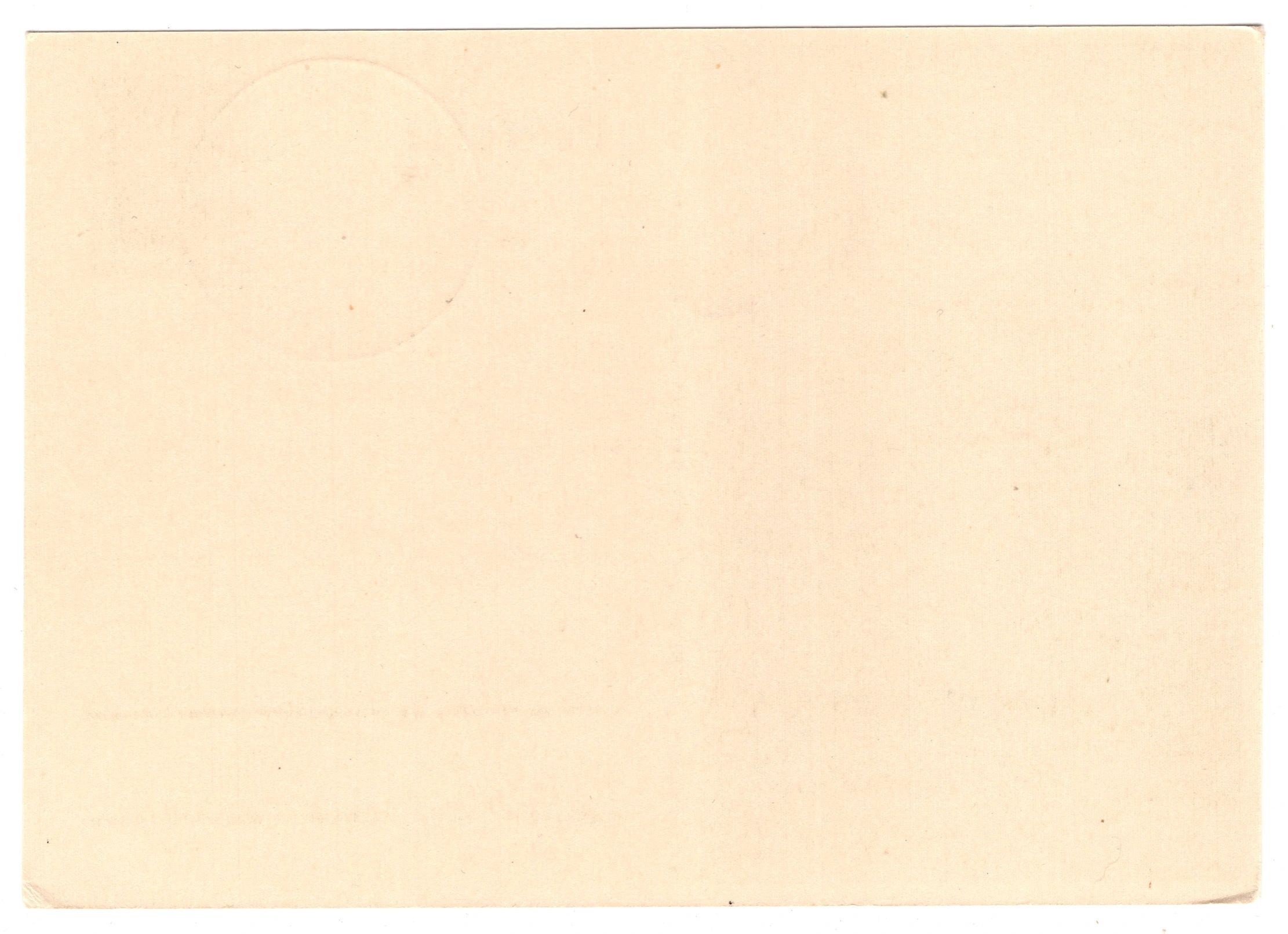 Hitler Youth Reichsparteitag Postcard - Image 2