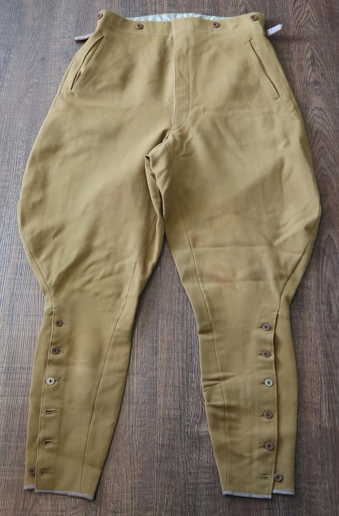 NSDAP Political Leader Breeches