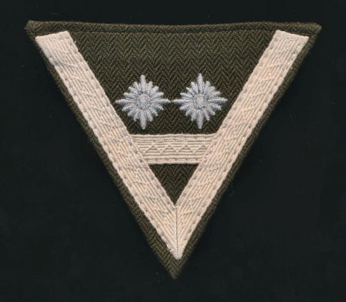 RAD Untertruppführer Sleeve Rank Chevron