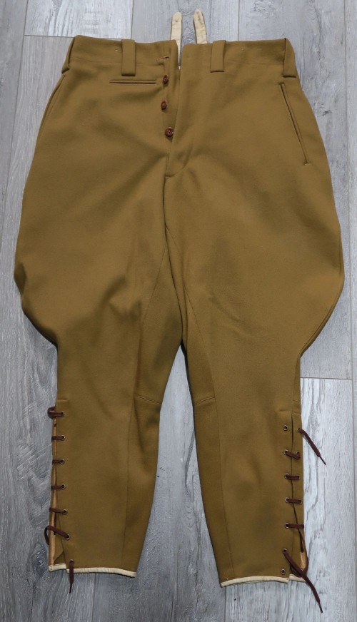 SOLD - NSDAP Political Leader Breeches