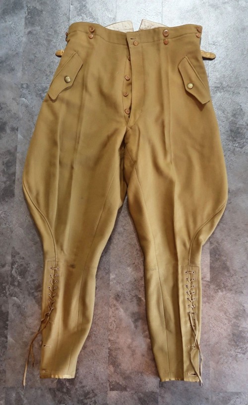 SOLD - NSDAP Political Leader Breeches