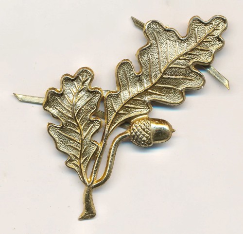 SOLD - Oakleaves Insignia