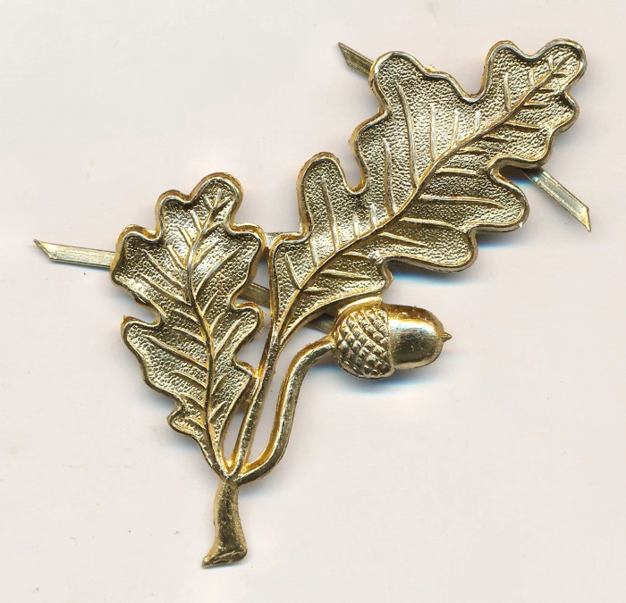 SOLD - Oakleaves Insignia