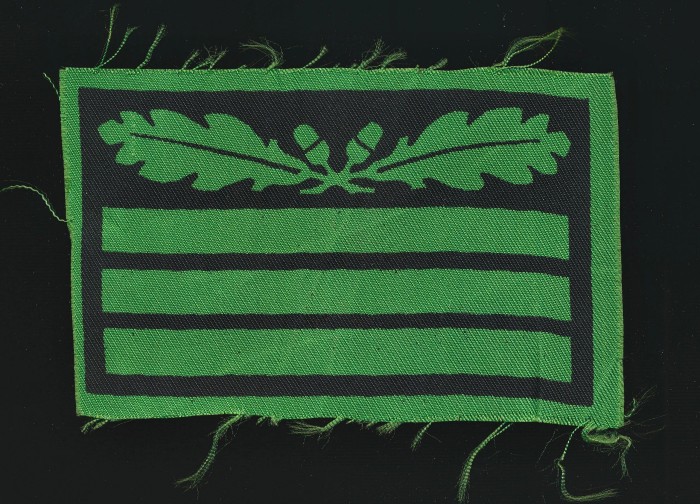 SOLD - SS-Hauptsturmführer Camo Sleeve Rank Chevron