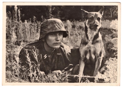 SOLD - SS Man w/ Dog in Field Postcard