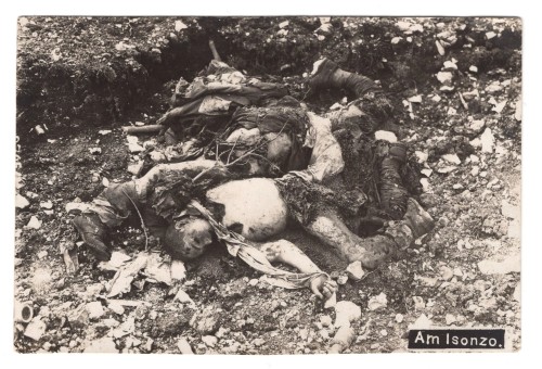 SOLD - WW1 Battle of the Isonzo Photo