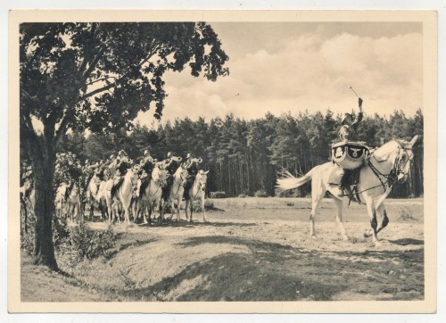 SS Kavalleriedivision Postcard