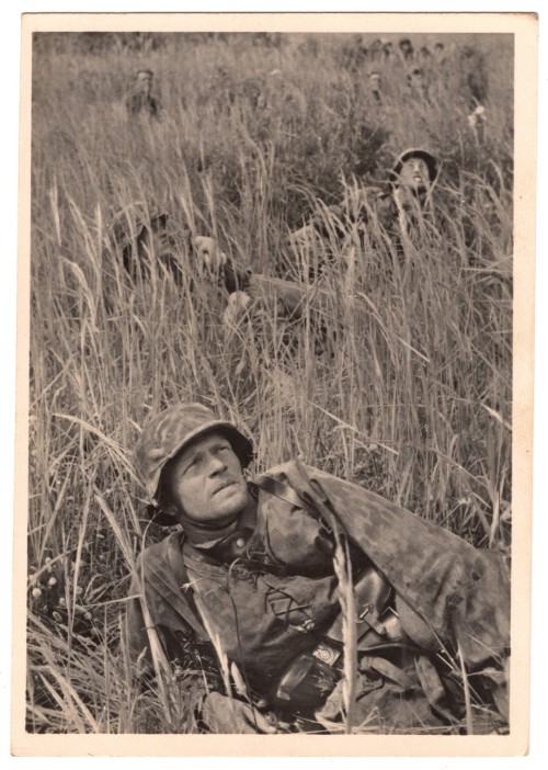 SS Men Taking Cover in Field Postcard