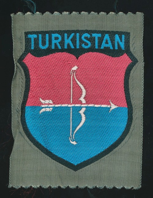 Turkistan Volunteer Sleeve Shield