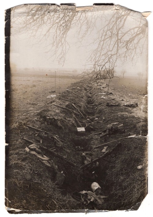 WW1 Deserted Trenchline Photo