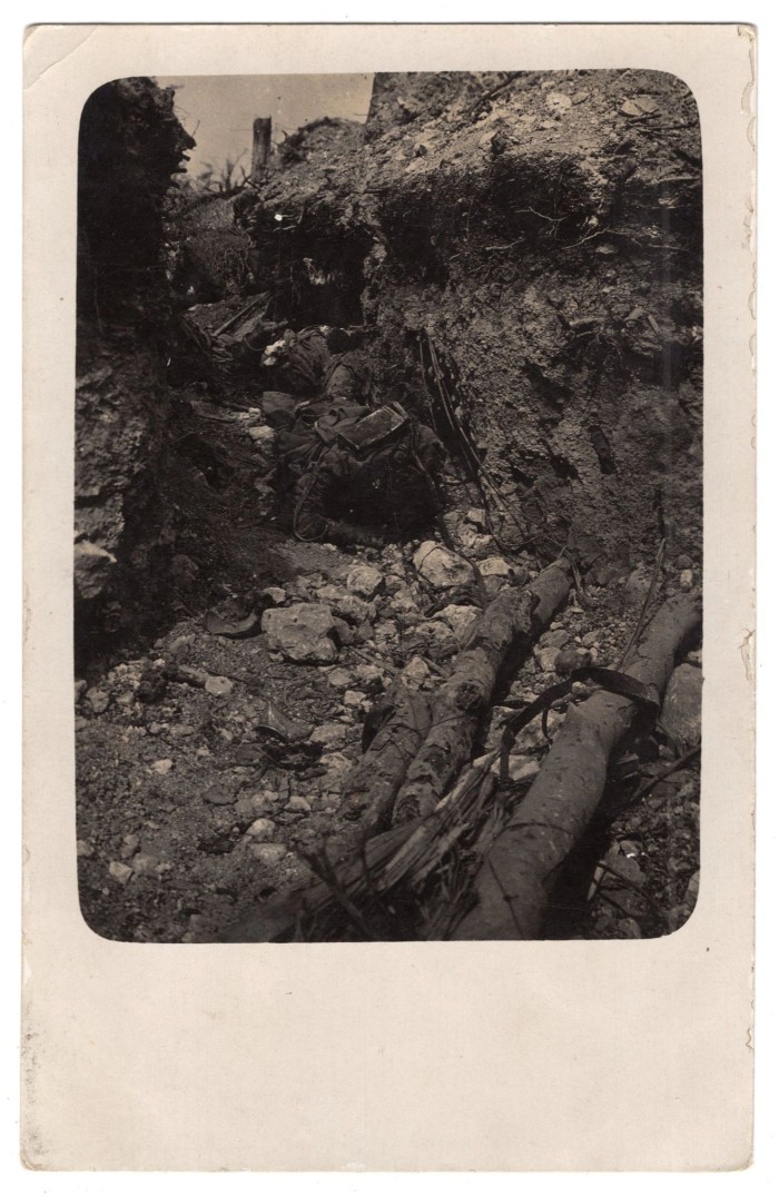 WW1 Destroyed Trenchline Photo Postcard