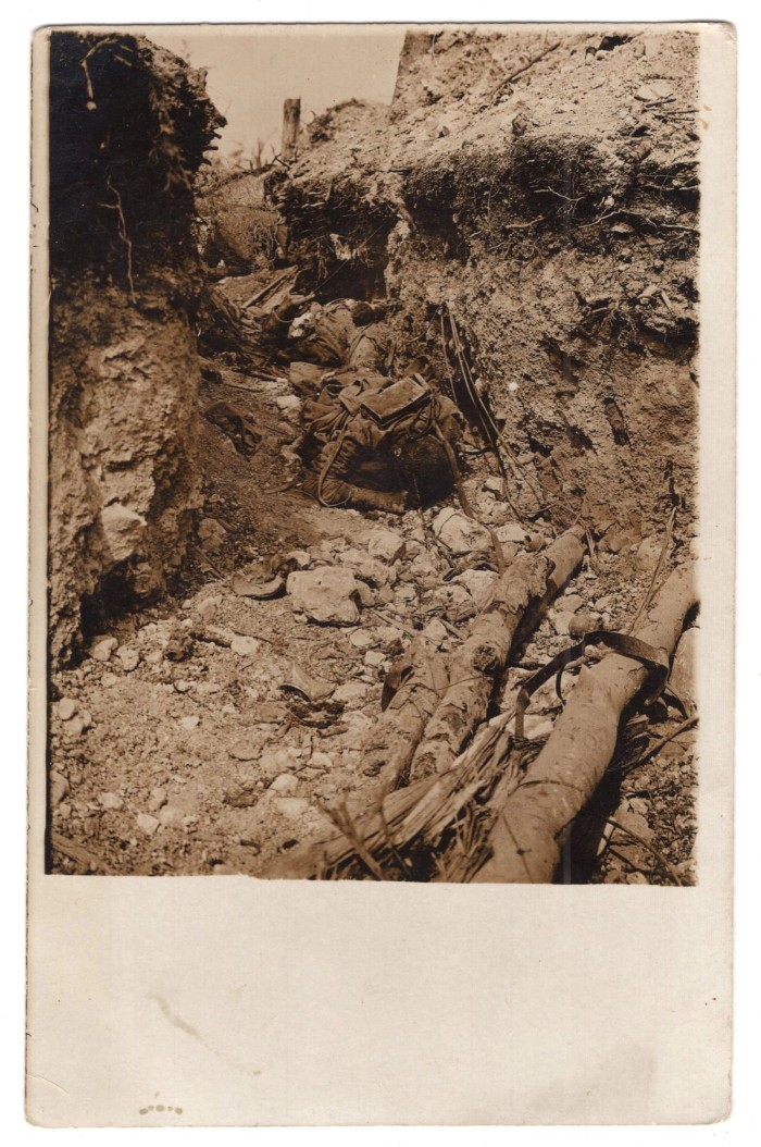 WW1 Destroyed Trenchline Photo Postcard