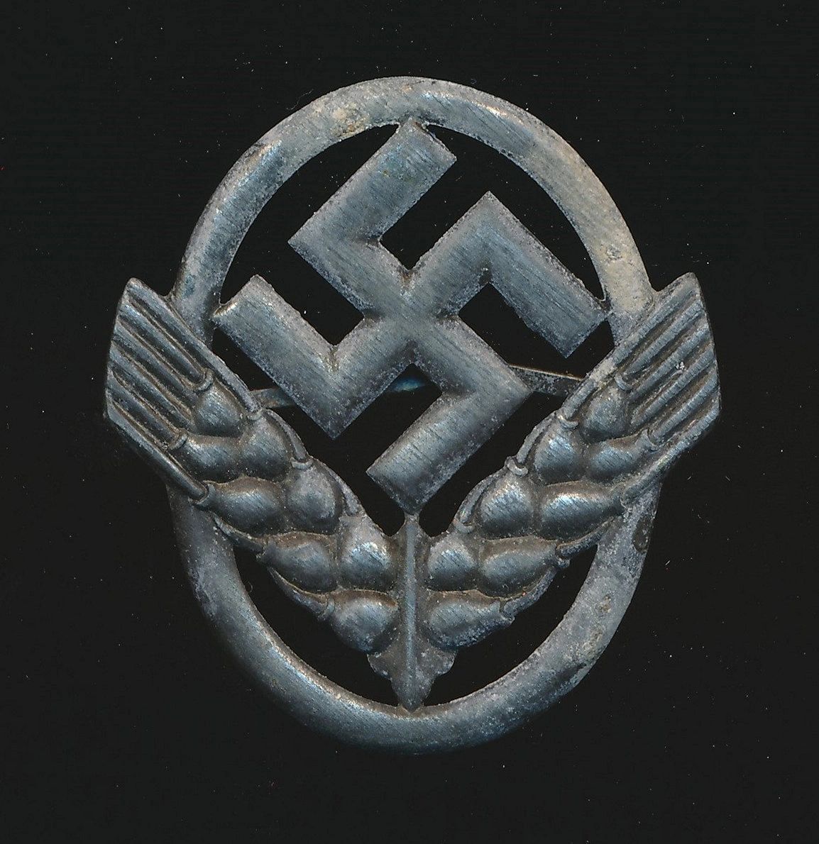 RADwJ Cap Insignia