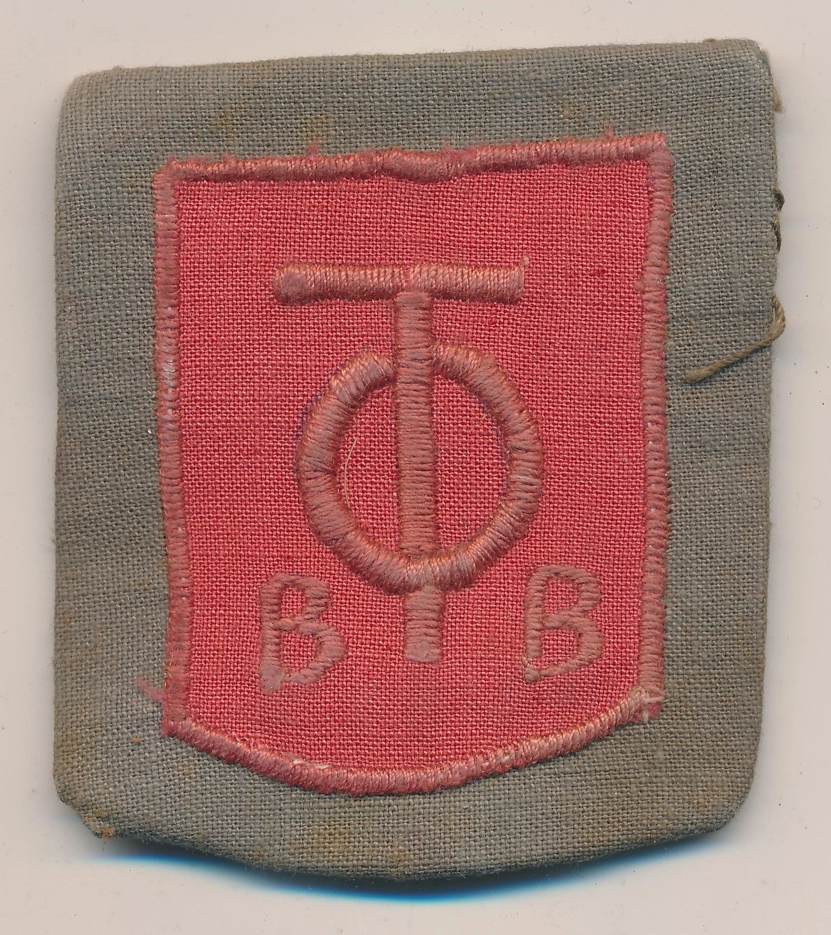 RARE Unknown Org. Todt B B Insignia