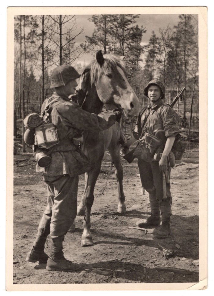 SS Men w/ Horse Postcard