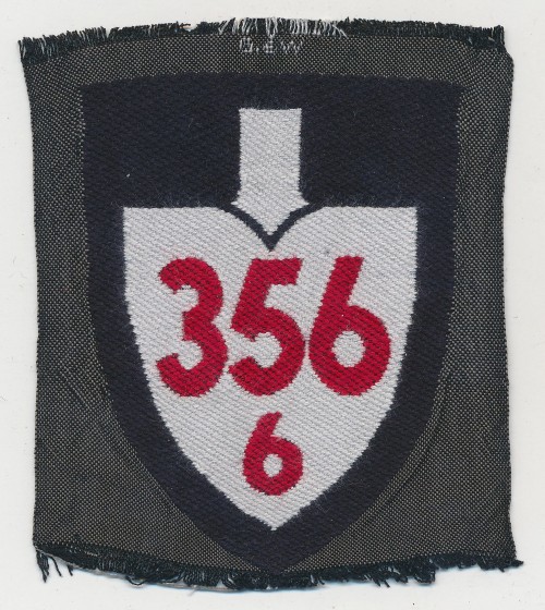 RAD Sleeve Insignia in BeVo