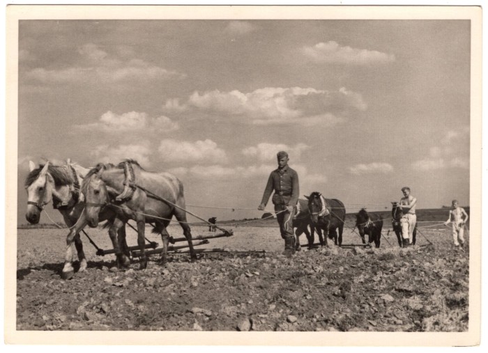 Waffen-SS Plowing Fields Postcard